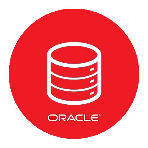 oracle-back-end developers in coimbatore